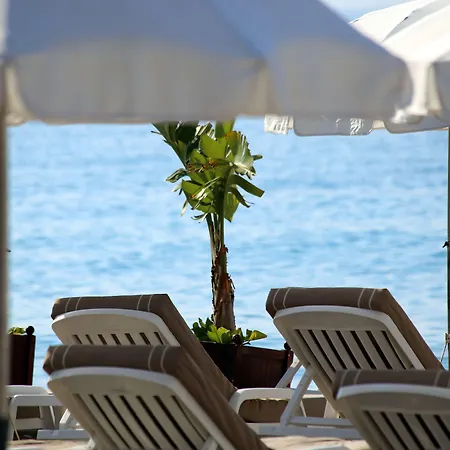 Hotel Ac By Marriott 4*